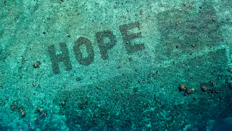 Project title — Blue Room Studio