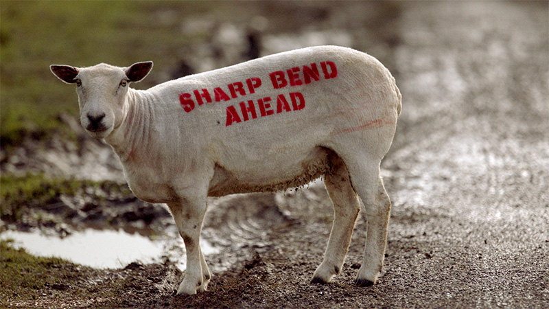 Project title — Blue Room Studio