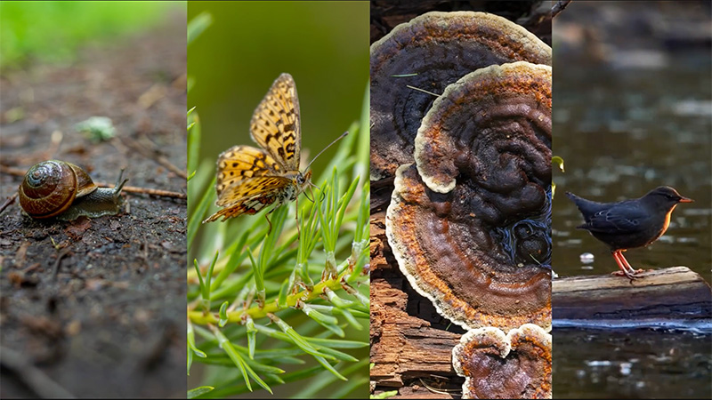 Project title — Blue Room Studio