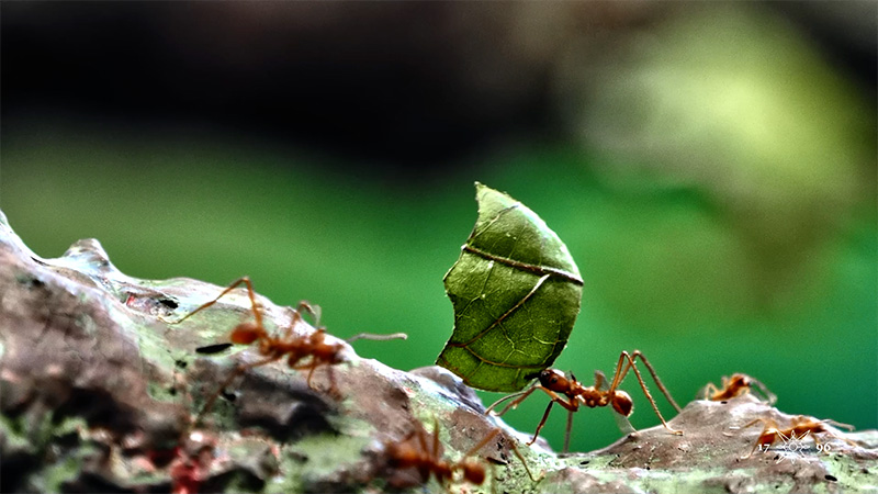 Project title — Blue Room Studio