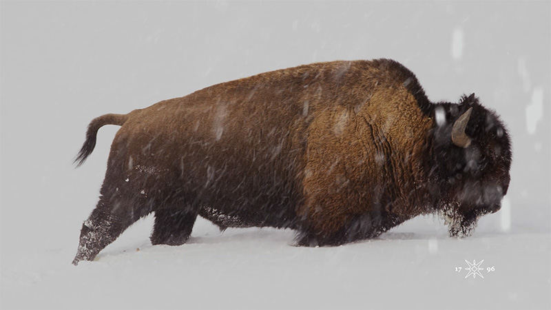 Project title — Blue Room Studio